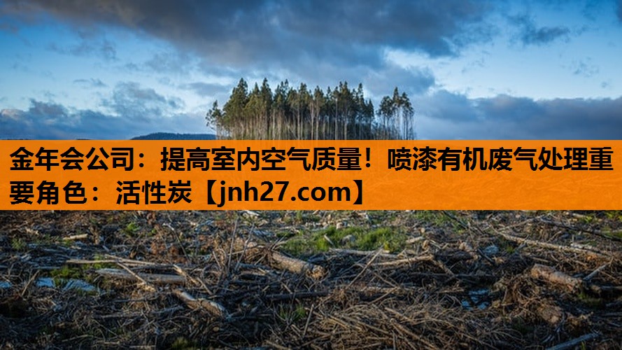 金年会公司：提高室内空气质量！喷漆有机废气处理重要角色：活性炭