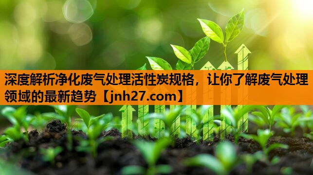 深度解析净化废气处理活性炭规格，让你了解废气处理领域的最新趋势