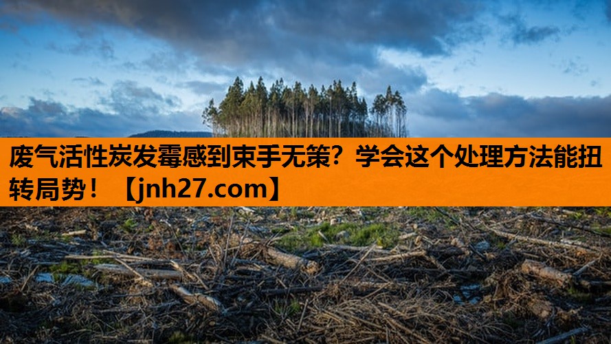 废气活性炭发霉感到束手无策？学会这个处理方法能扭转局势！