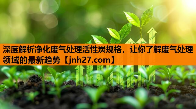 深度解析净化废气处理活性炭规格，让你了解废气处理领域的最新趋势