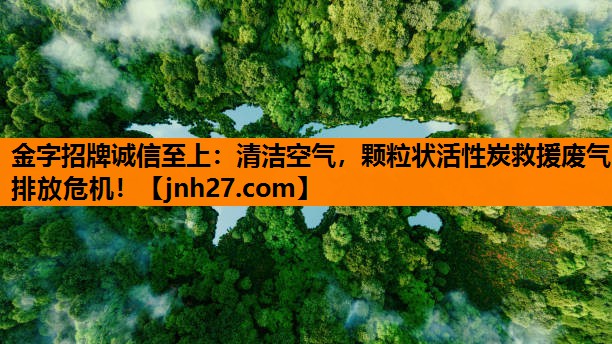 清洁空气，颗粒状活性炭救援废气排放危机！